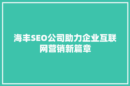 海丰SEO公司助力企业互联网营销新篇章