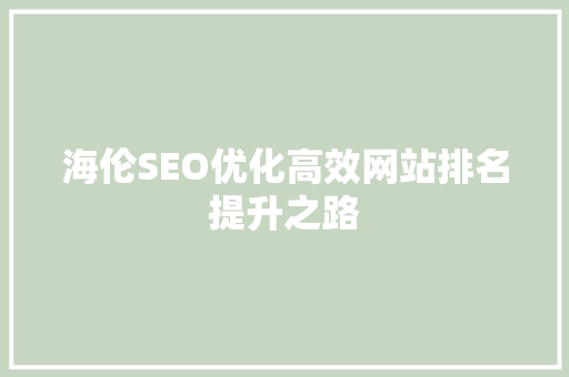 海伦SEO优化高效网站排名提升之路