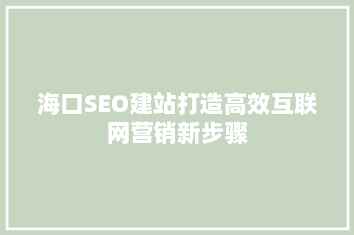 海口SEO建站打造高效互联网营销新步骤