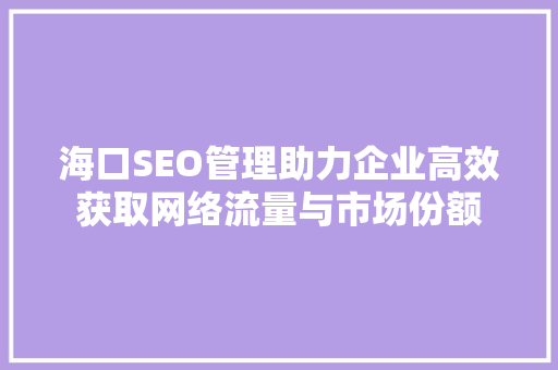 海口SEO管理助力企业高效获取网络流量与市场份额