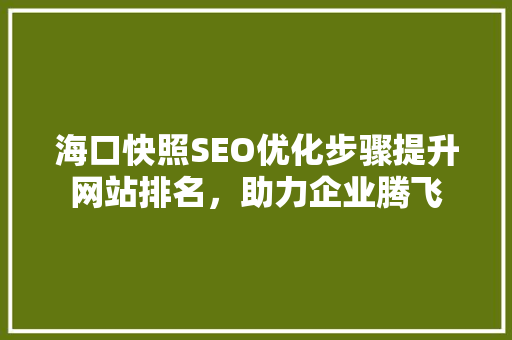 海口快照SEO优化步骤提升网站排名，助力企业腾飞