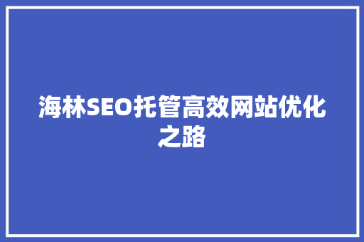 海林SEO托管高效网站优化之路