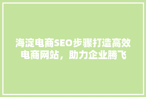 海淀电商SEO步骤打造高效电商网站，助力企业腾飞