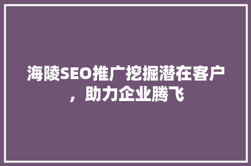 海陵SEO推广挖掘潜在客户，助力企业腾飞