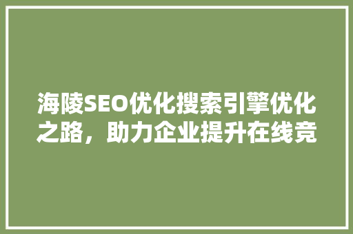 海陵SEO优化搜索引擎优化之路，助力企业提升在线竞争力