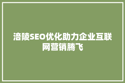 涪陵SEO优化助力企业互联网营销腾飞