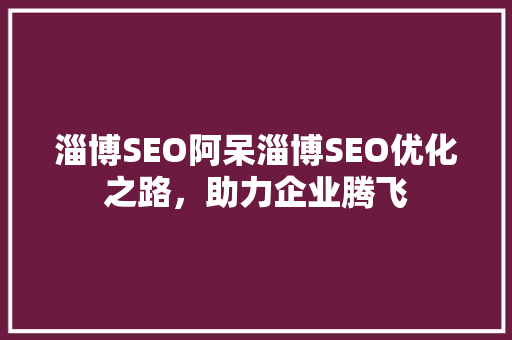 淄博SEO阿呆淄博SEO优化之路，助力企业腾飞