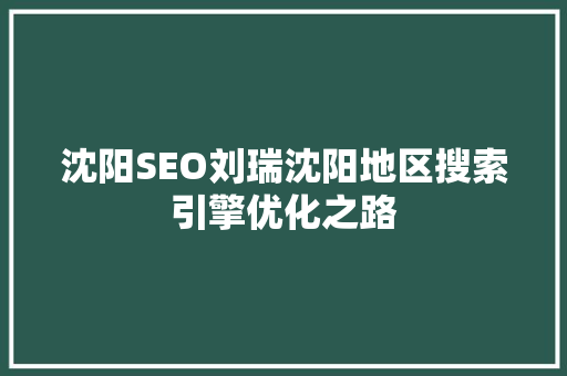 沈阳SEO刘瑞沈阳地区搜索引擎优化之路