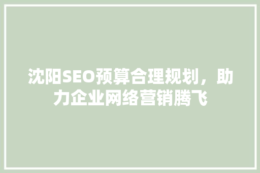 沈阳SEO预算合理规划，助力企业网络营销腾飞