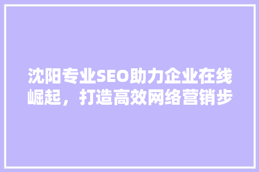 沈阳专业SEO助力企业在线崛起，打造高效网络营销步骤