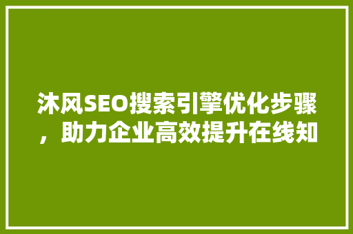 沐风SEO搜索引擎优化步骤，助力企业高效提升在线知名度