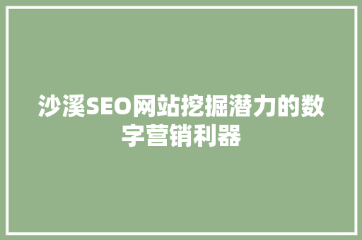 沙溪SEO网站挖掘潜力的数字营销利器