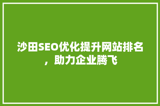 沙田SEO优化提升网站排名，助力企业腾飞