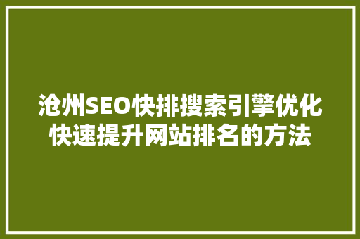 沧州SEO快排搜索引擎优化快速提升网站排名的方法