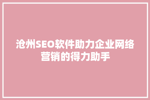 沧州SEO软件助力企业网络营销的得力助手