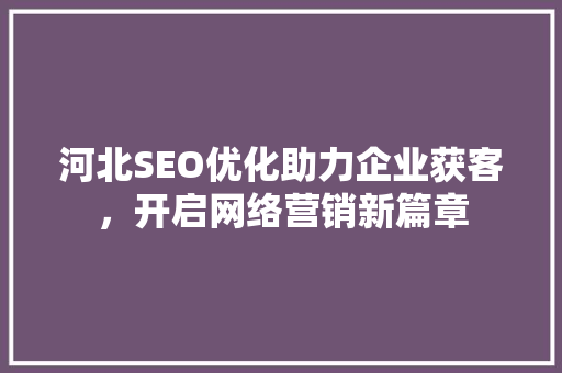 河北SEO优化助力企业获客，开启网络营销新篇章