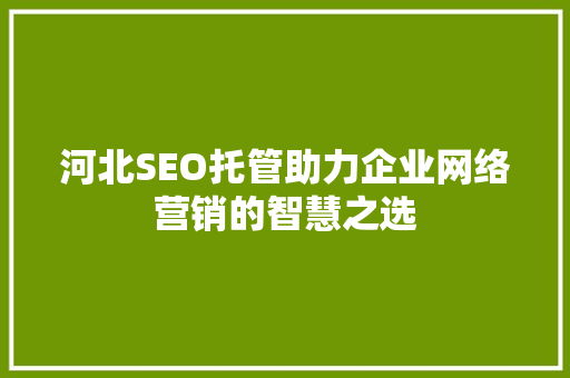 河北SEO托管助力企业网络营销的智慧之选