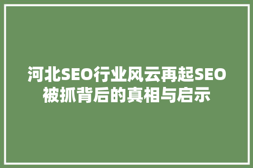 河北SEO行业风云再起SEO被抓背后的真相与启示