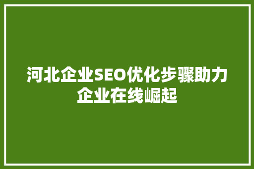 河北企业SEO优化步骤助力企业在线崛起