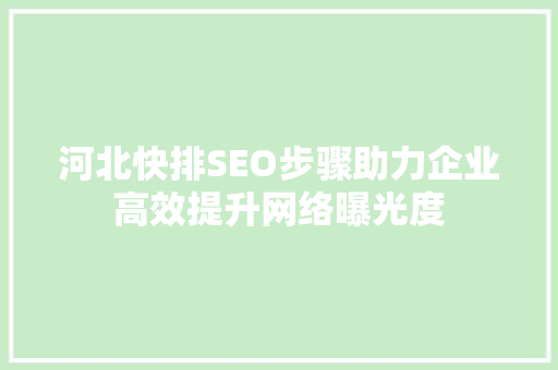 河北快排SEO步骤助力企业高效提升网络曝光度