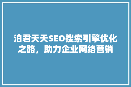 泊君天天SEO搜索引擎优化之路，助力企业网络营销