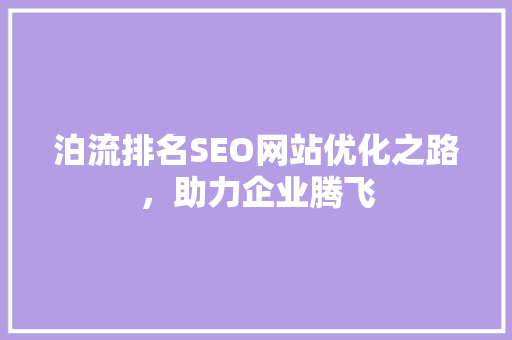 泊流排名SEO网站优化之路，助力企业腾飞