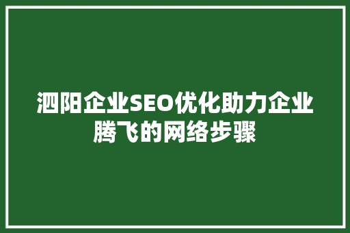 泗阳企业SEO优化助力企业腾飞的网络步骤