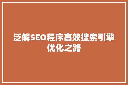 泛解SEO程序高效搜索引擎优化之路