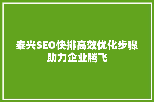 泰兴SEO快排高效优化步骤助力企业腾飞