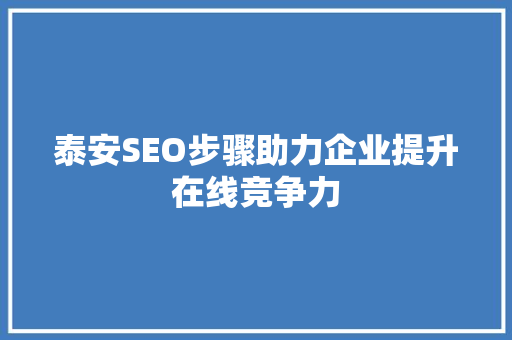 泰安SEO步骤助力企业提升在线竞争力