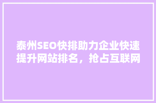 泰州SEO快排助力企业快速提升网站排名，抢占互联网市场先机