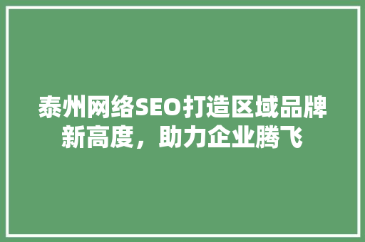 泰州网络SEO打造区域品牌新高度，助力企业腾飞