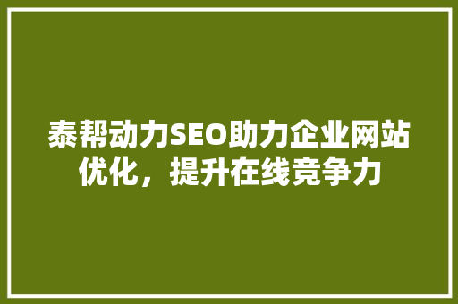 泰帮动力SEO助力企业网站优化，提升在线竞争力