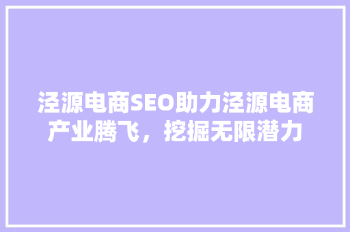 泾源电商SEO助力泾源电商产业腾飞，挖掘无限潜力