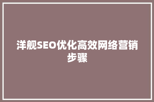 洋舰SEO优化高效网络营销步骤