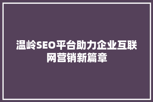 温岭SEO平台助力企业互联网营销新篇章