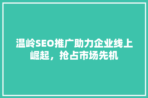 温岭SEO推广助力企业线上崛起，抢占市场先机