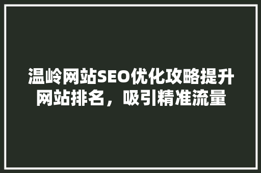 温岭网站SEO优化攻略提升网站排名，吸引精准流量