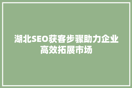 湖北SEO获客步骤助力企业高效拓展市场