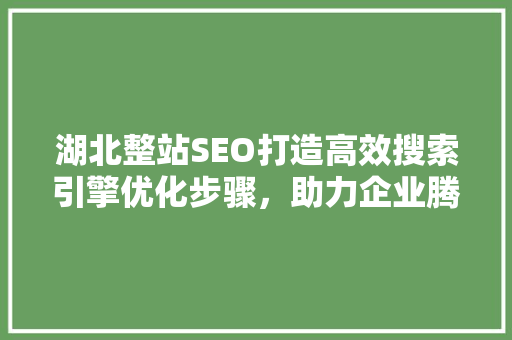 湖北整站SEO打造高效搜索引擎优化步骤，助力企业腾飞