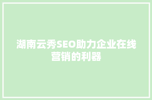 湖南云秀SEO助力企业在线营销的利器