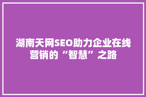 湖南天网SEO助力企业在线营销的“智慧”之路