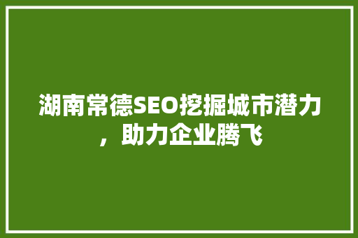 湖南常德SEO挖掘城市潜力，助力企业腾飞