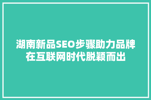 湖南新品SEO步骤助力品牌在互联网时代脱颖而出