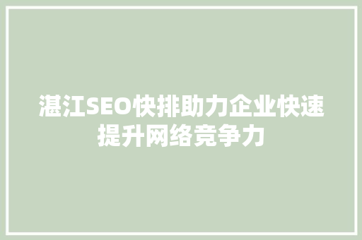 湛江SEO快排助力企业快速提升网络竞争力