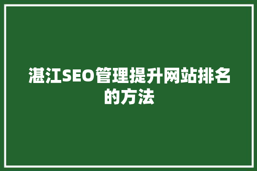 湛江SEO管理提升网站排名的方法