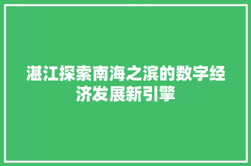 湛江探索南海之滨的数字经济发展新引擎