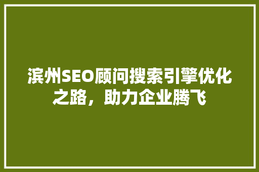 滨州SEO顾问搜索引擎优化之路，助力企业腾飞