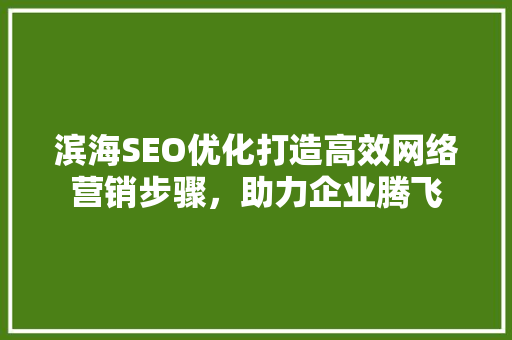 滨海SEO优化打造高效网络营销步骤，助力企业腾飞