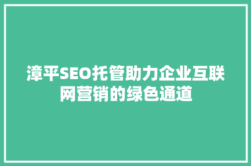 漳平SEO托管助力企业互联网营销的绿色通道